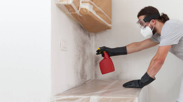 Professional Mold Removal technician working in Newtown Square, PA