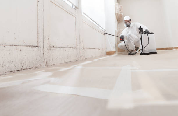24/7 Emergency Mold Removal experts in Newtown Square, PA