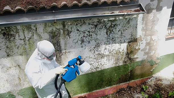 Trusted Mold Inspection service in Newtown Square, PA - Cheap Mold Removal